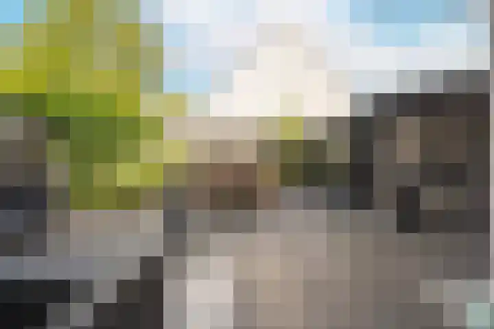 Sparrenlaan 22 Veenendaal thumbnail 4