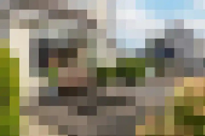 Sparrenlaan 22 Veenendaal thumbnail 41