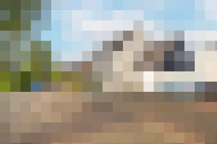 Sparrenlaan 22 Veenendaal thumbnail 42
