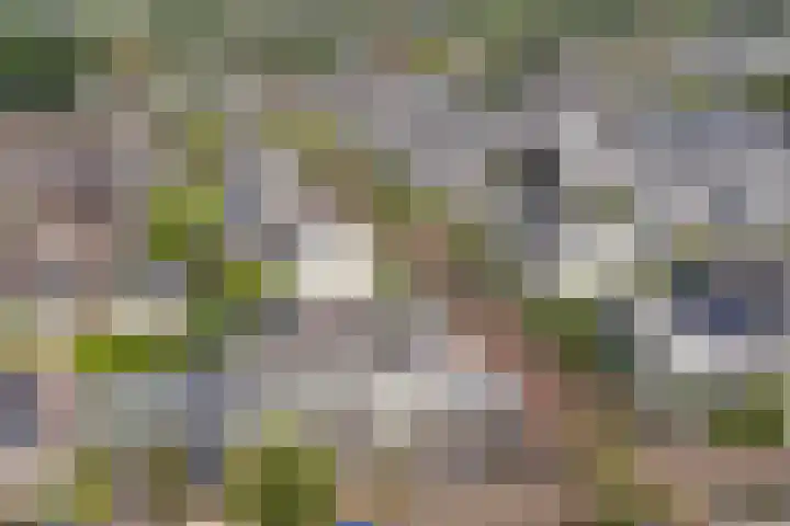 Sparrenlaan 22 Veenendaal thumbnail 44