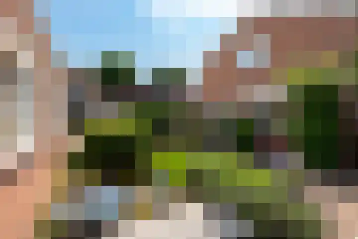 Sparrenlaan 24 Baarn thumbnail 14