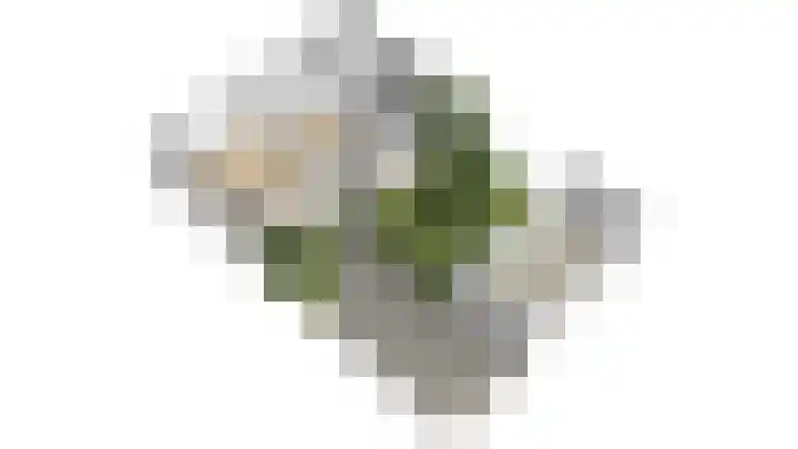 Sparrenlaan 24 Baarn thumbnail 38