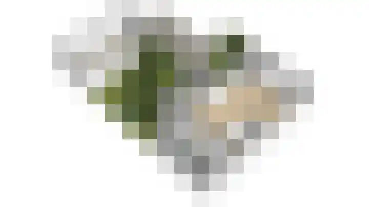 Sparrenlaan 24 Baarn thumbnail 39