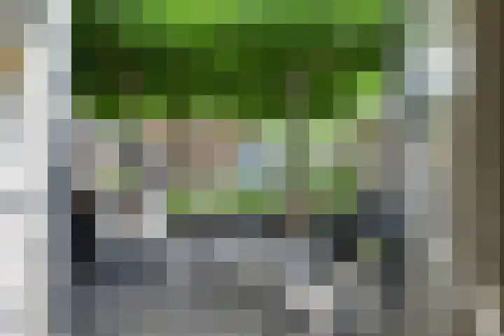 Sparrenlaan 24 Heerhugowaard thumbnail 12