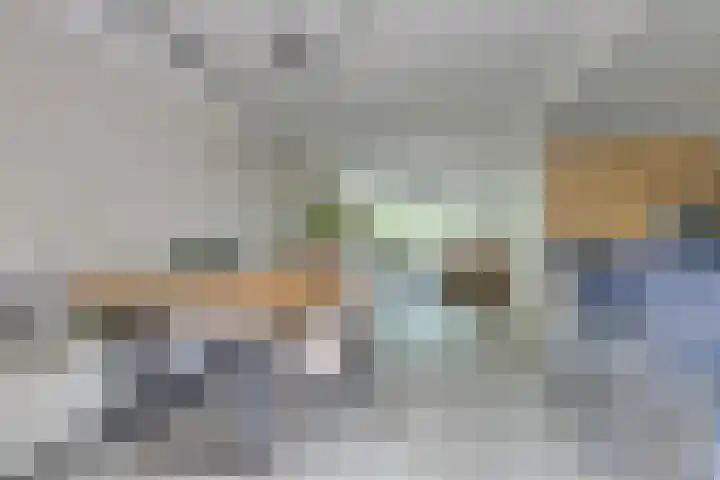 Sparrenlaan 24 Heerhugowaard thumbnail 13