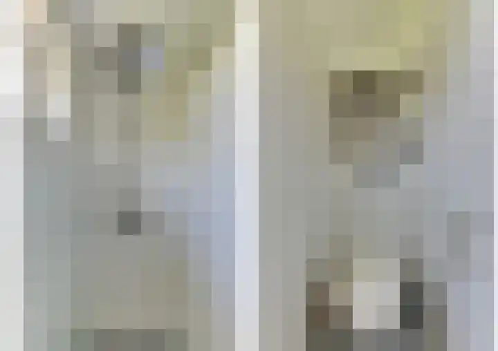 Sparrenlaan 24 Heerhugowaard thumbnail 23