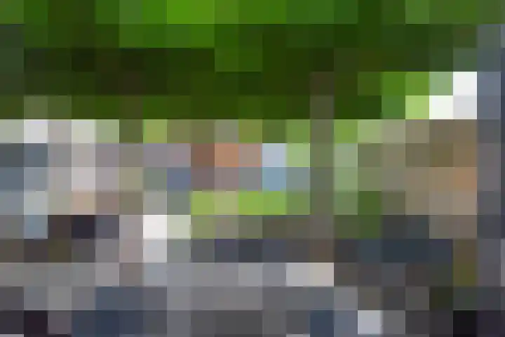 Sparrenlaan 24 Heerhugowaard thumbnail 32