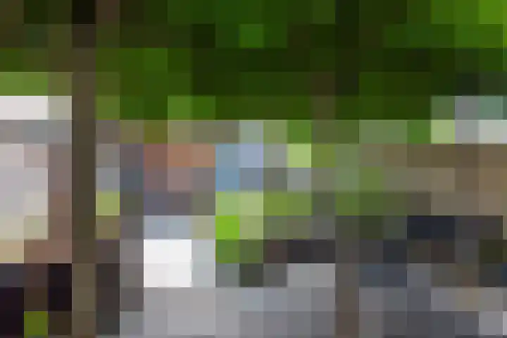 Sparrenlaan 24 Heerhugowaard thumbnail 33