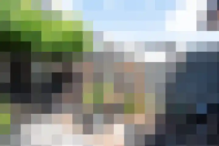 Sparrenlaan 24 Heerhugowaard thumbnail 35