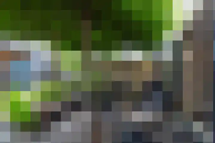 Sparrenlaan 24 Heerhugowaard thumbnail 4