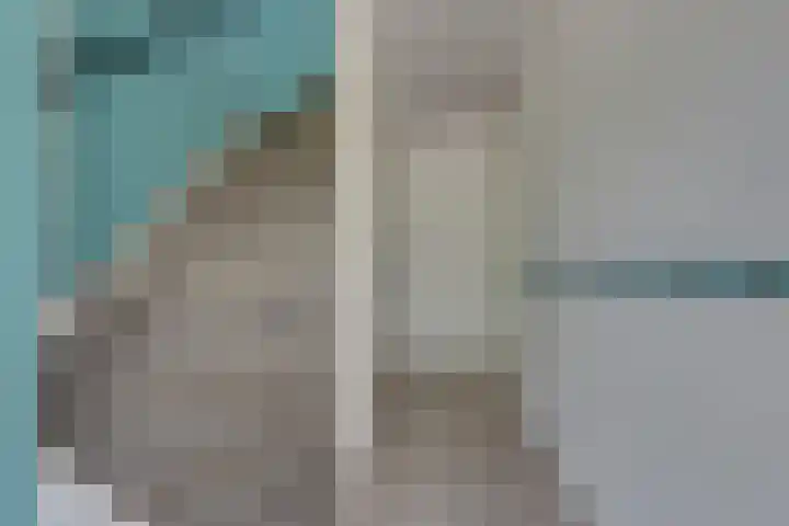 Sparrenlaan 24 Heerhugowaard thumbnail 8