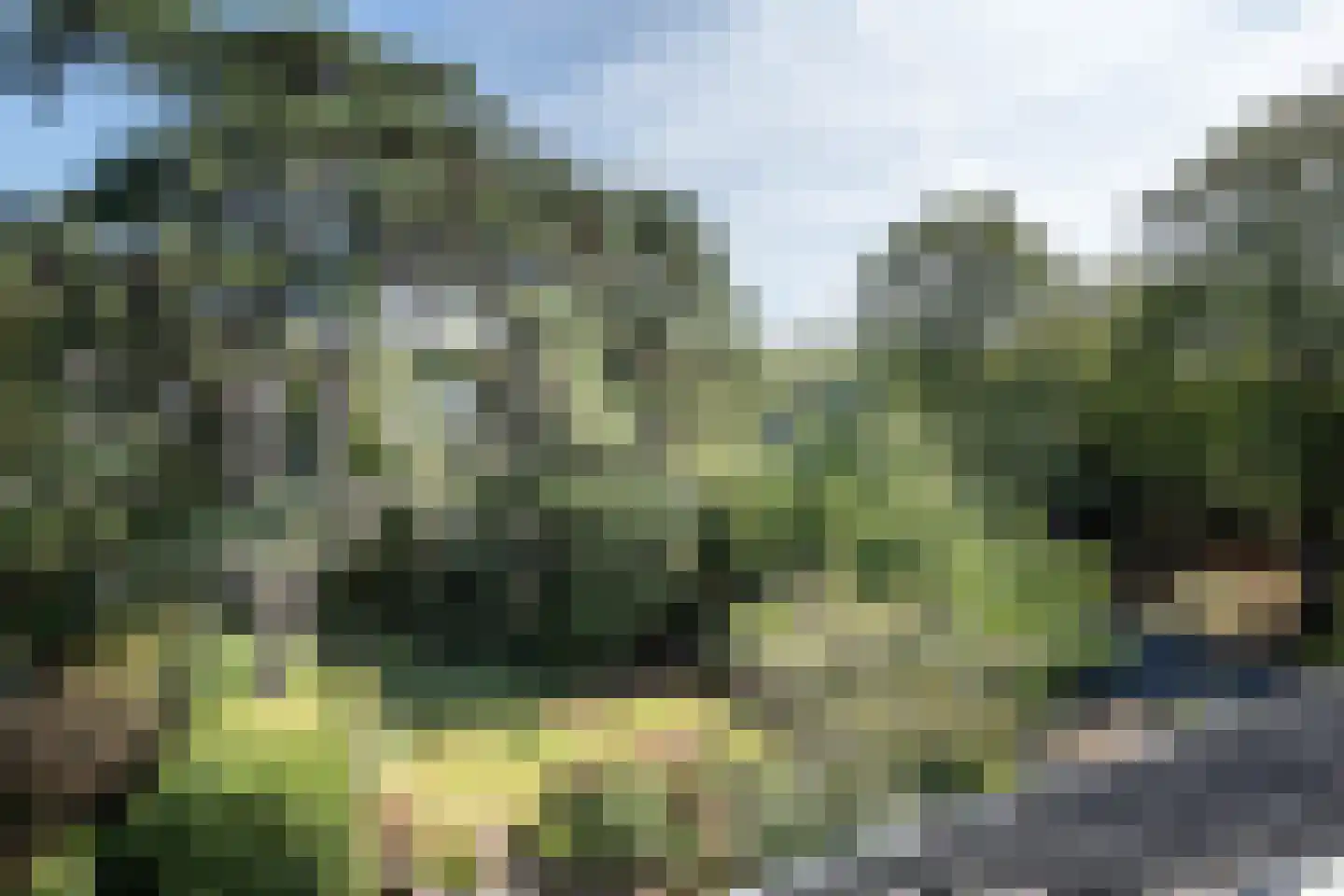 Sparrenlaan 25 Aerdenhout thumbnail 43