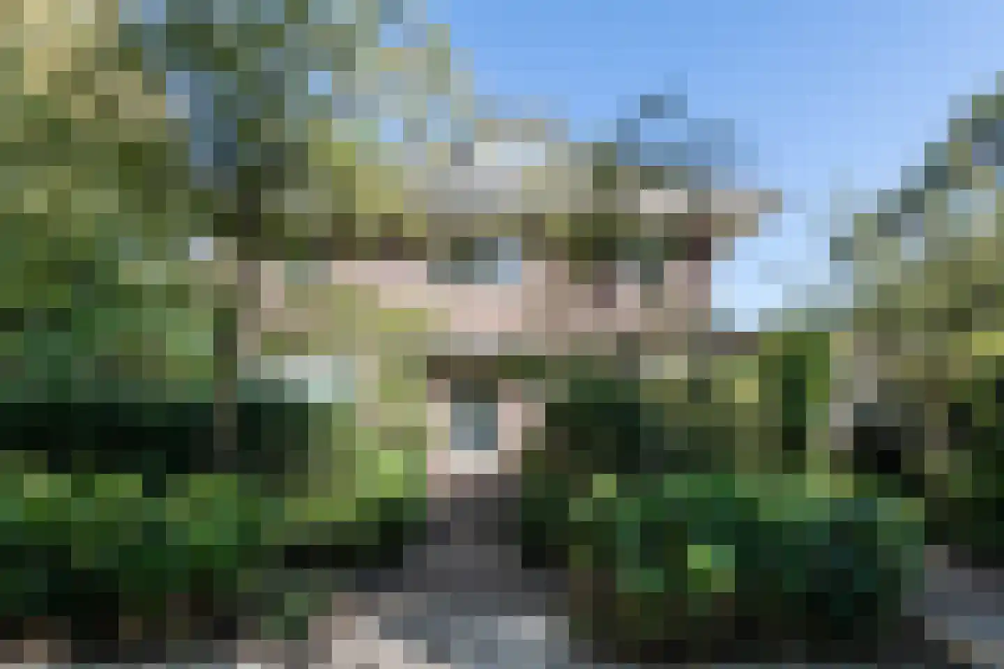 Sparrenlaan 25 Aerdenhout thumbnail 5