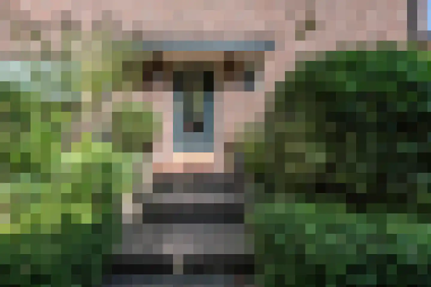 Sparrenlaan 25 Aerdenhout thumbnail 6