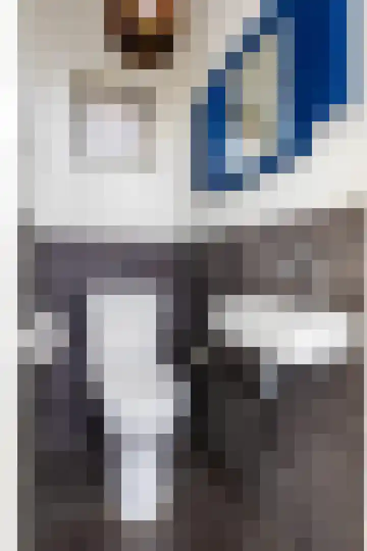Sparrenlaan 26 Epe thumbnail 14