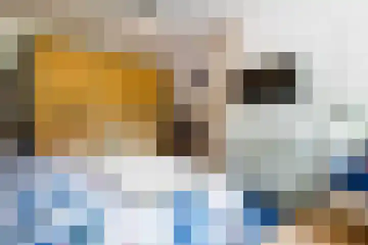 Sparrenlaan 26 Epe thumbnail 17