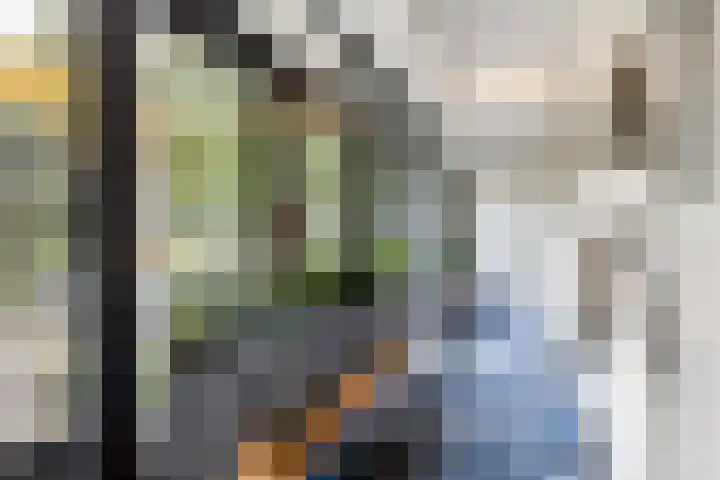 Sparrenlaan 26 Epe thumbnail 18