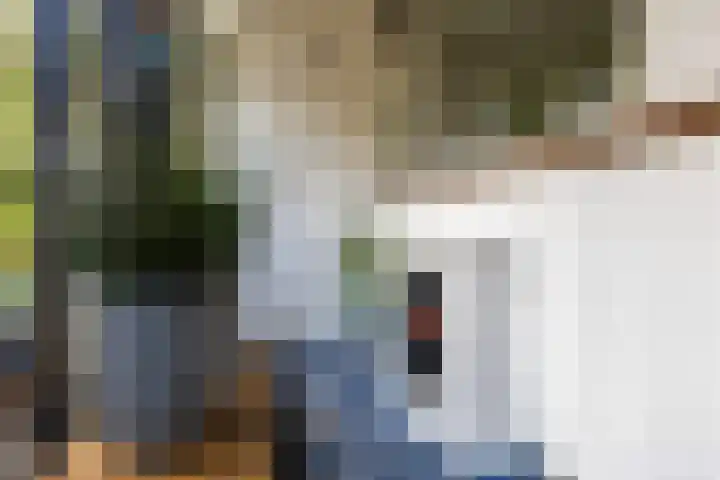 Sparrenlaan 26 Epe thumbnail 19