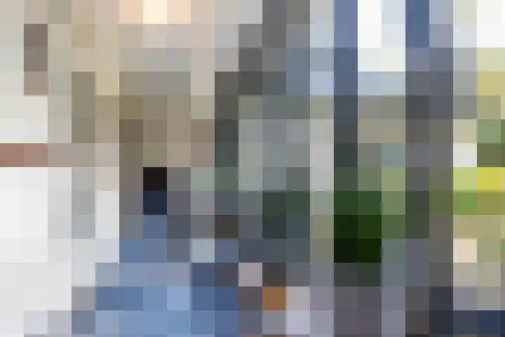 Sparrenlaan 26 Epe thumbnail 20