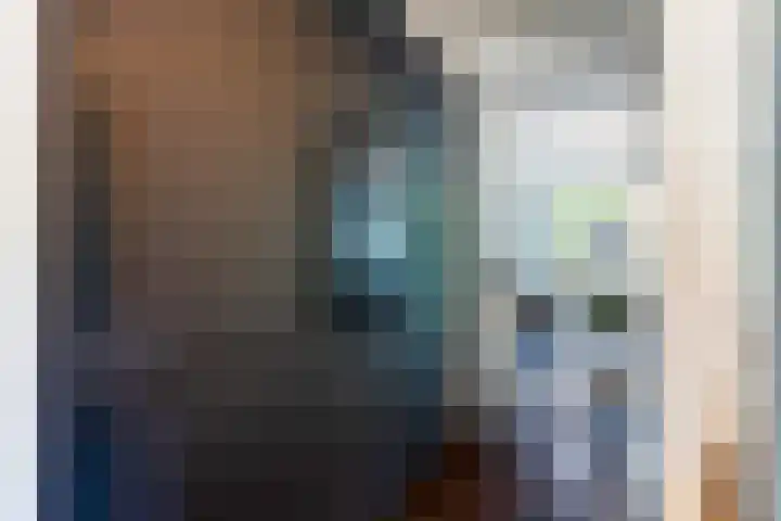 Sparrenlaan 26 Epe thumbnail 27