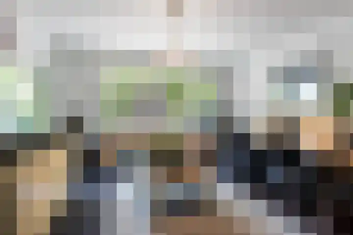 Sparrenlaan 26 Epe thumbnail 29