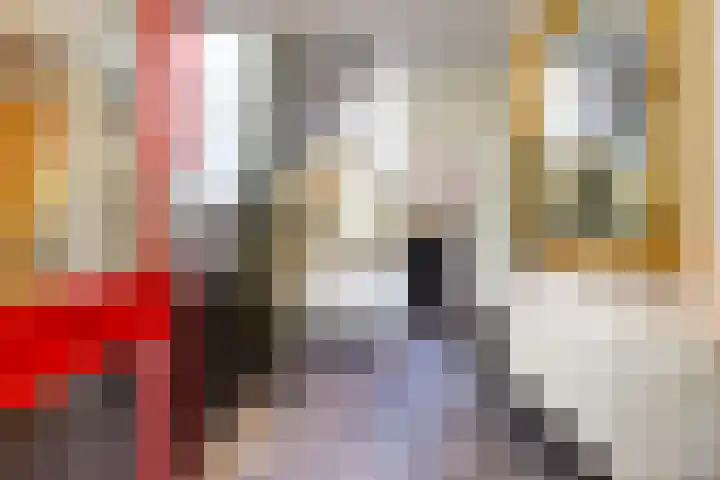 Sparrenlaan 26 Epe thumbnail 30