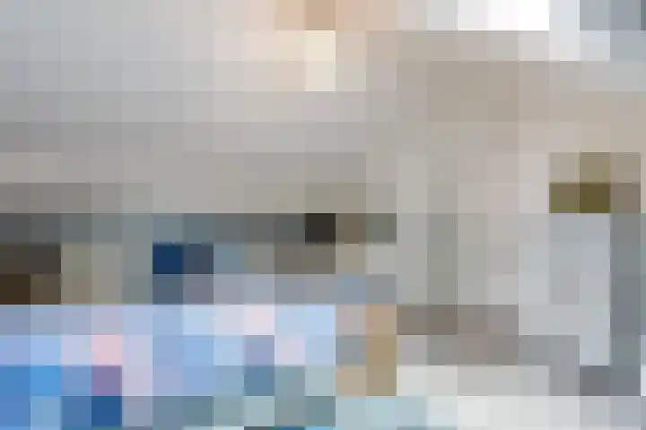 Sparrenlaan 26 Epe thumbnail 34