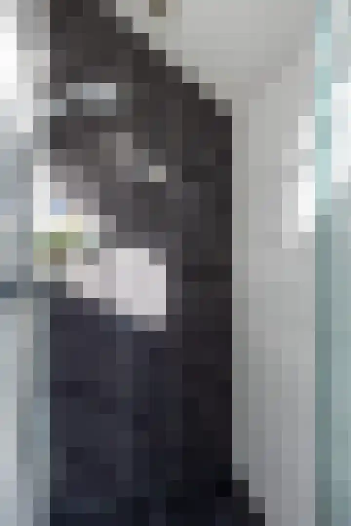 Sparrenlaan 26 Epe thumbnail 38