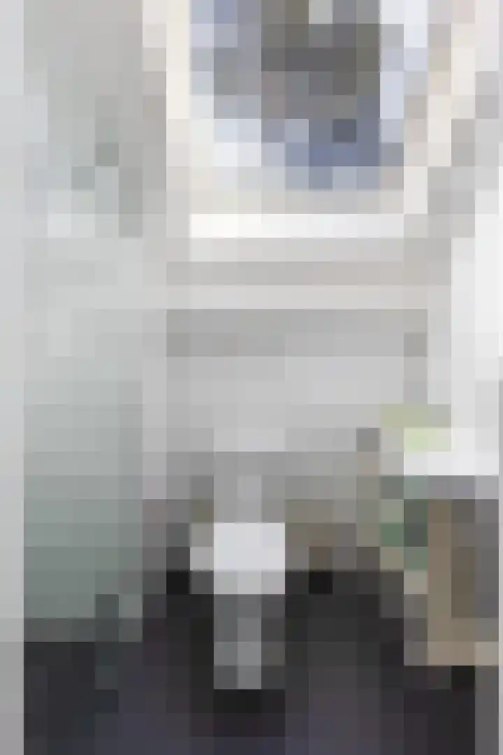 Sparrenlaan 26 Epe thumbnail 39