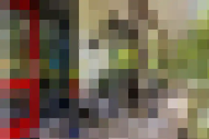 Sparrenlaan 26 Epe thumbnail 43