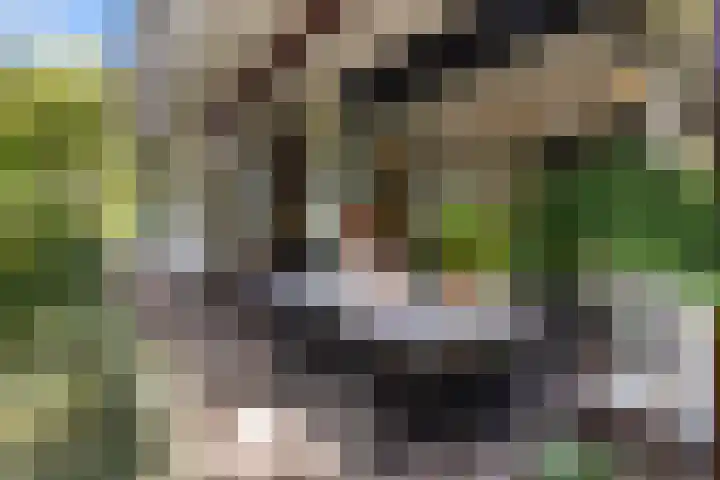 Sparrenlaan 26 Epe thumbnail 44