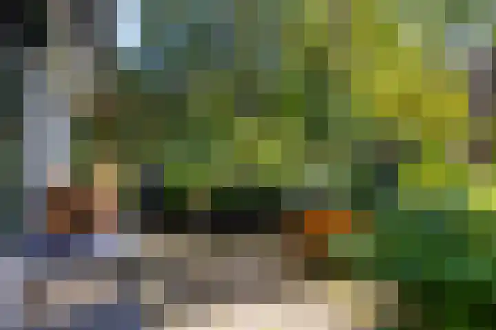 Sparrenlaan 26 Epe thumbnail 45