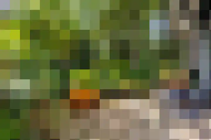 Sparrenlaan 26 Epe thumbnail 47