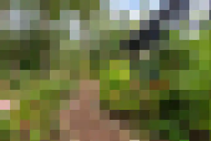 Sparrenlaan 26 Epe thumbnail 48
