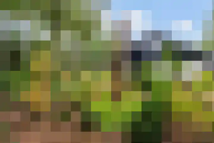 Sparrenlaan 26 Epe thumbnail 49