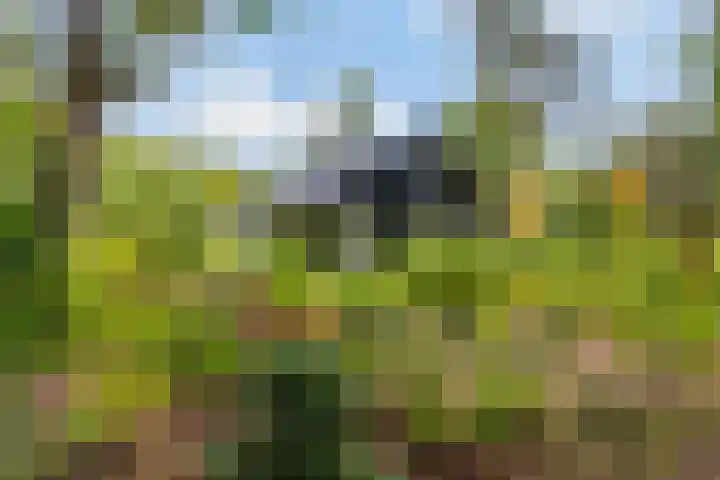 Sparrenlaan 26 Epe thumbnail 50