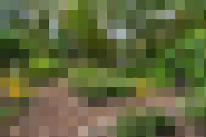 Sparrenlaan 26 Epe thumbnail 51