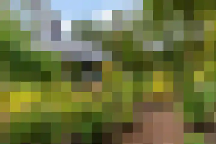 Sparrenlaan 26 Epe thumbnail 52