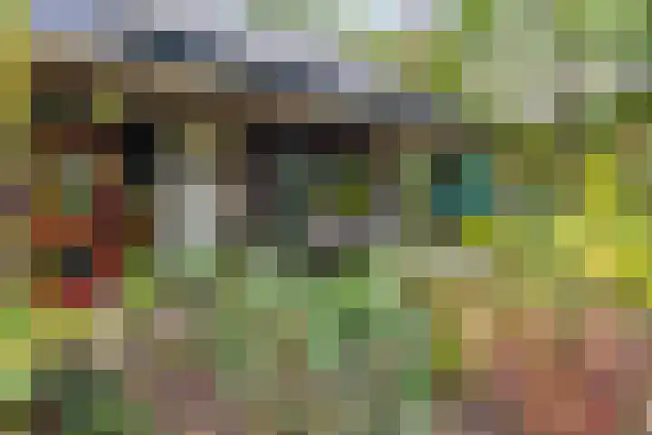Sparrenlaan 26 Epe thumbnail 53