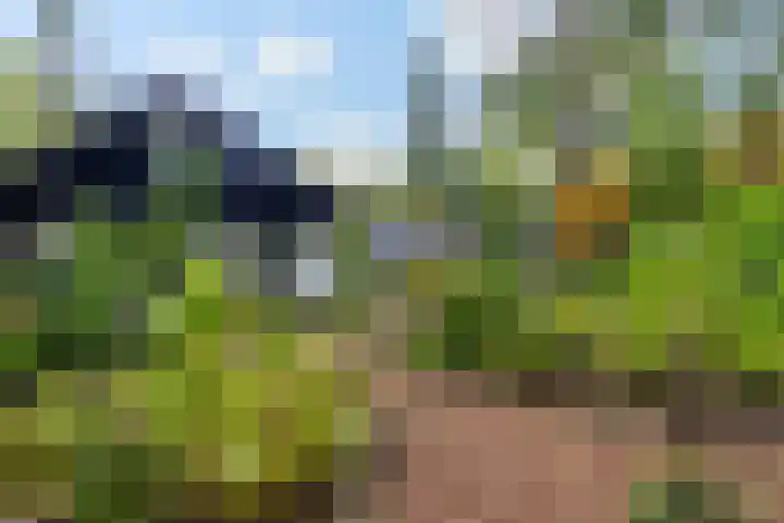 Sparrenlaan 26 Epe thumbnail 54