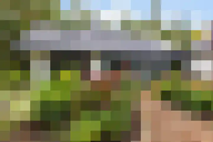 Sparrenlaan 26 Epe thumbnail 56
