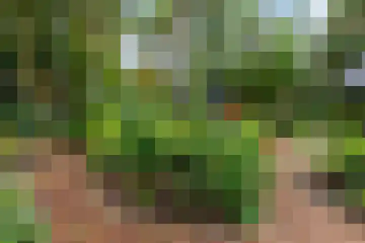 Sparrenlaan 26 Epe thumbnail 57