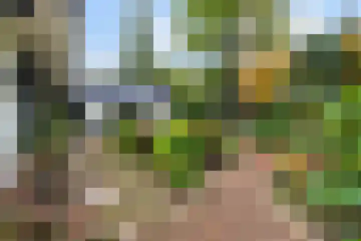 Sparrenlaan 26 Epe thumbnail 58
