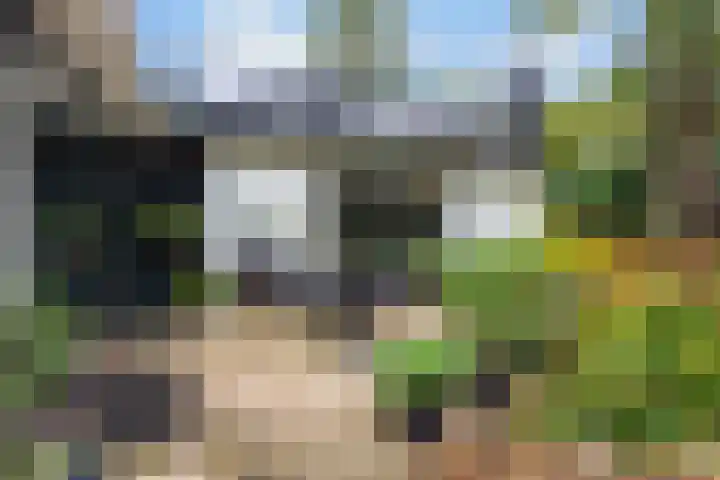 Sparrenlaan 26 Epe thumbnail 59