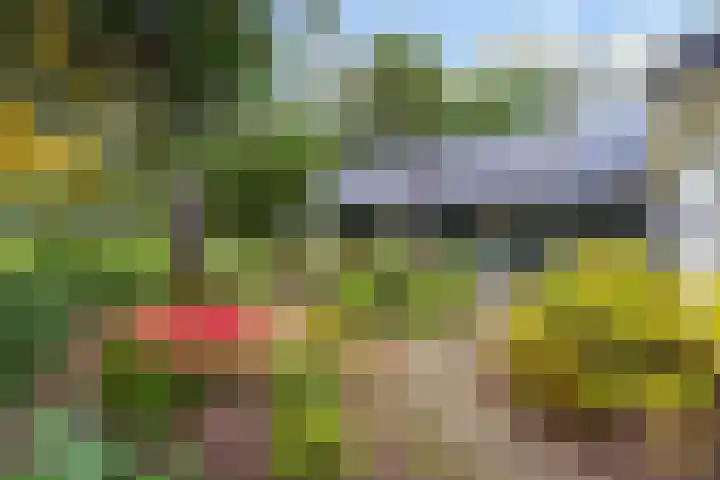 Sparrenlaan 26 Epe thumbnail 60