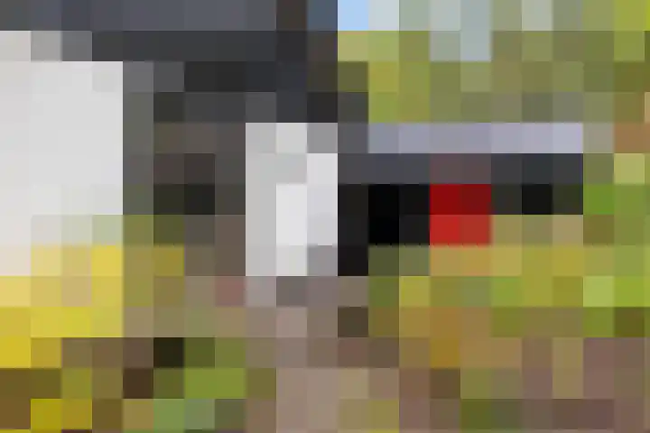 Sparrenlaan 26 Epe thumbnail 61