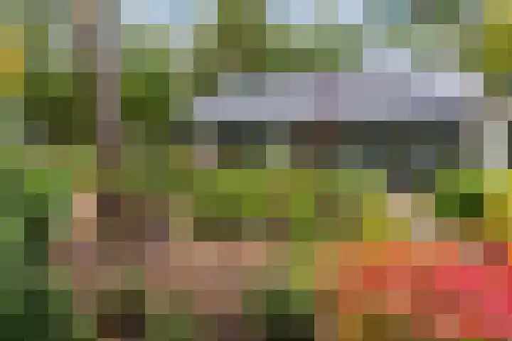 Sparrenlaan 26 Epe thumbnail 62