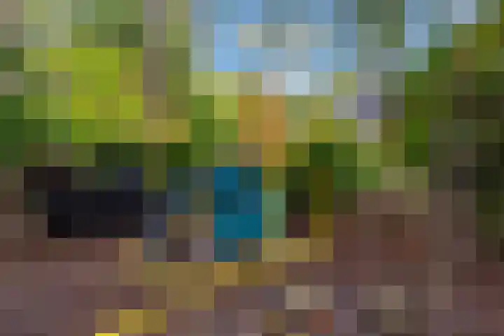 Sparrenlaan 26 Epe thumbnail 63