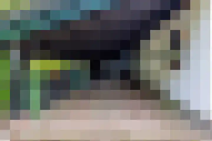 Sparrenlaan 26 Epe thumbnail 64