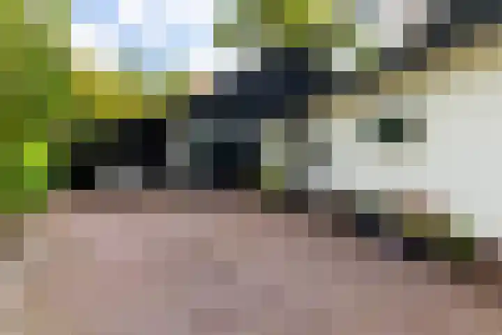 Sparrenlaan 26 Epe thumbnail 65